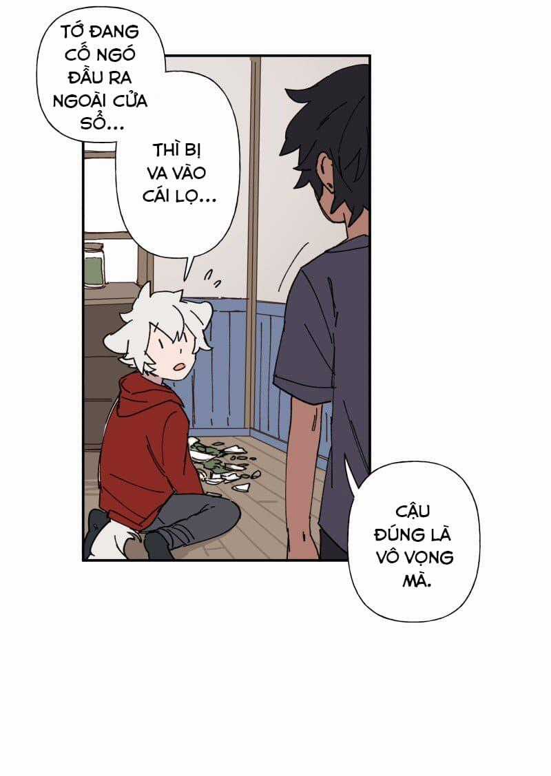 Lumine - Chapter 86 - Trang 13