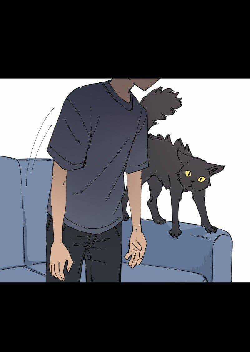 Lumine - Chapter 88 - Trang 14