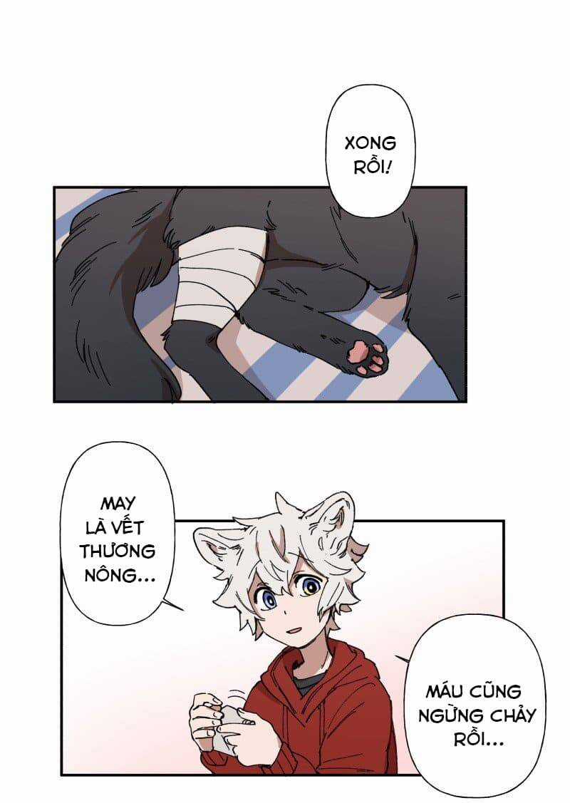 Lumine - Chapter 88 - Trang 35