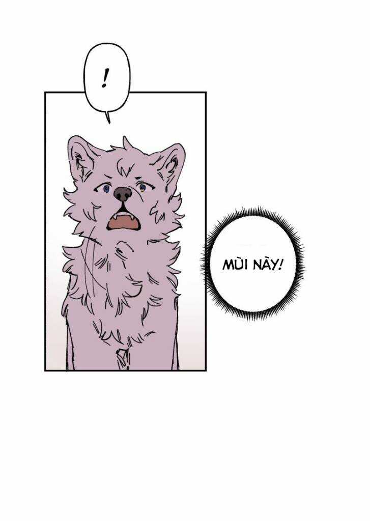 Lumine - Chapter 89 - Trang 30