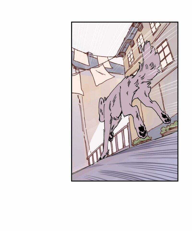 Lumine - Chapter 89 - Trang 31