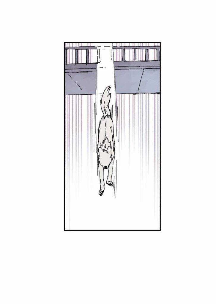 Lumine - Chapter 89 - Trang 35