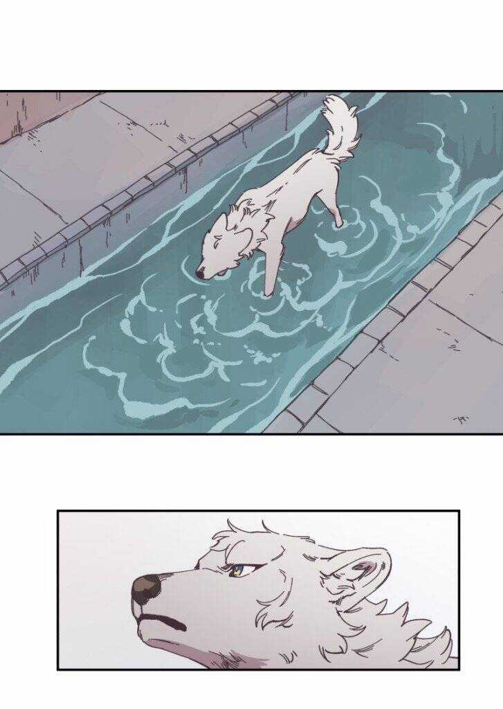 Lumine - Chapter 89 - Trang 37