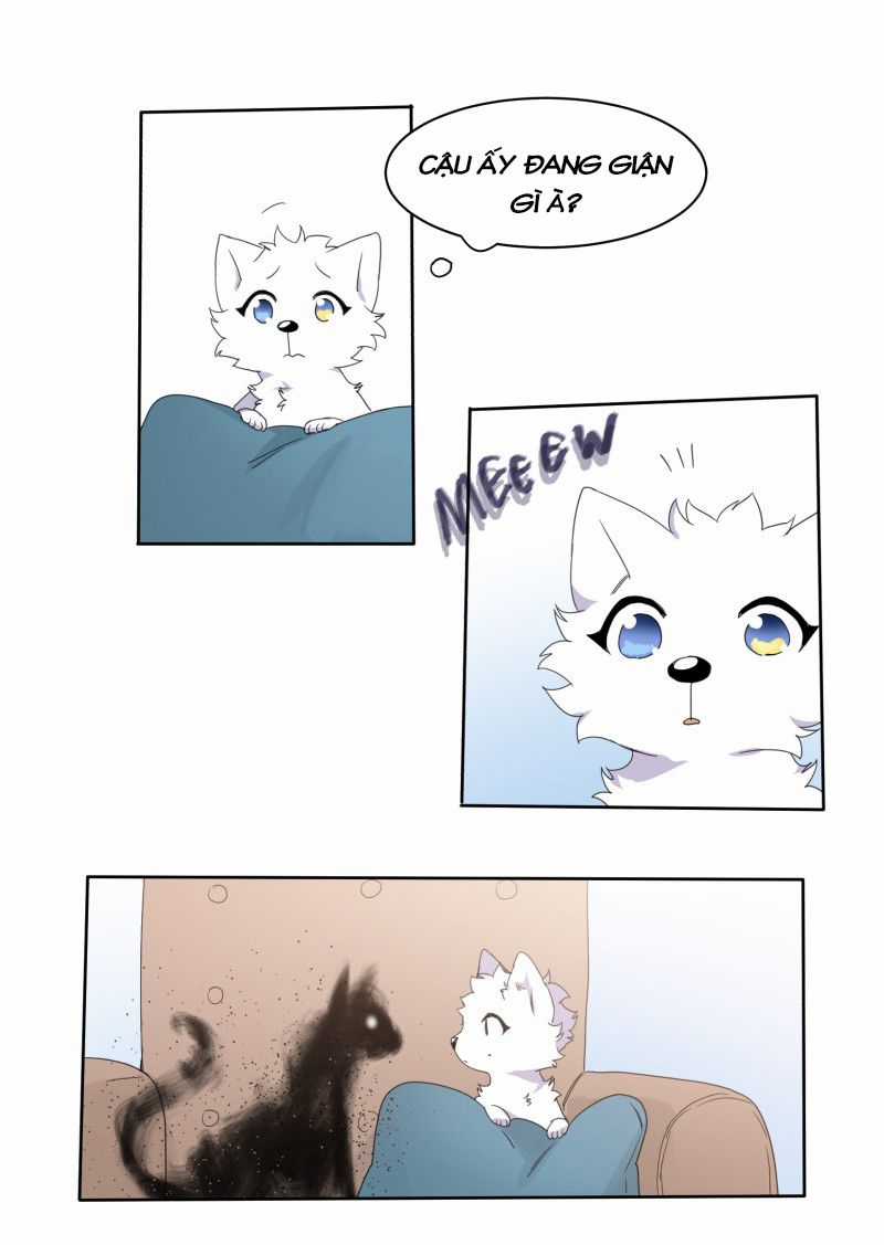 Lumine - Chapter 9 - Trang 11