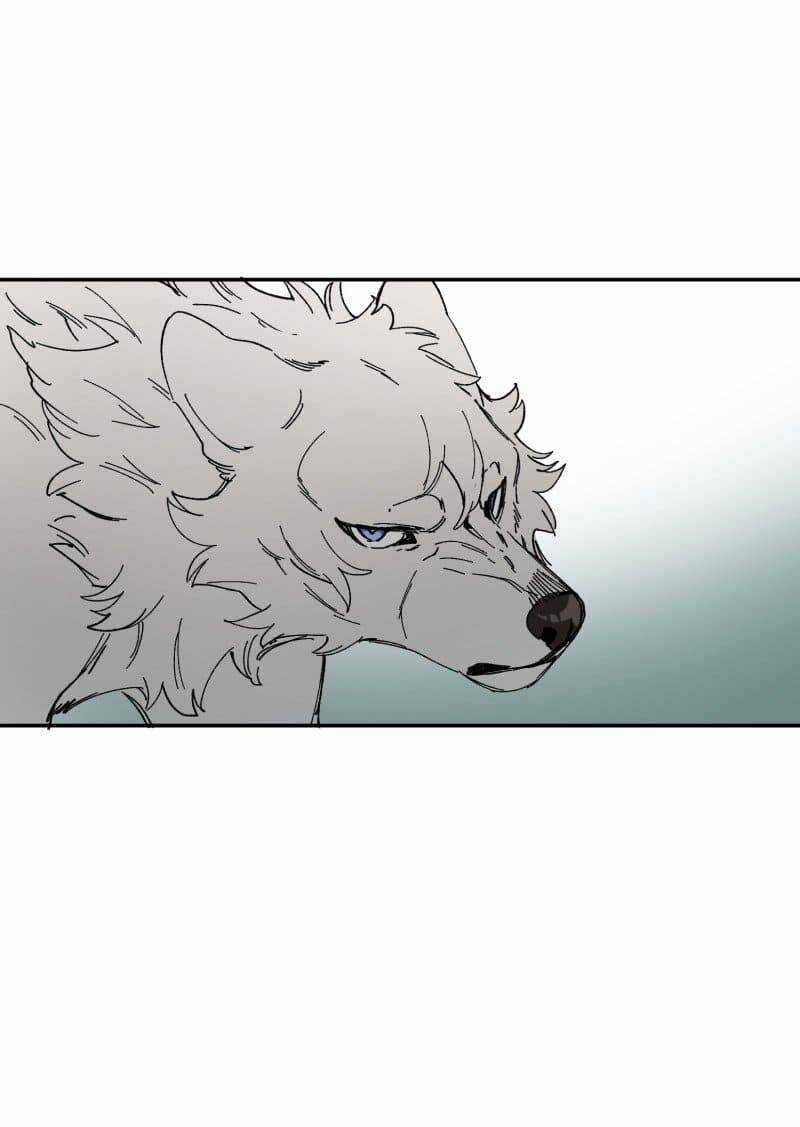 Lumine - Chapter 90 - Trang 5