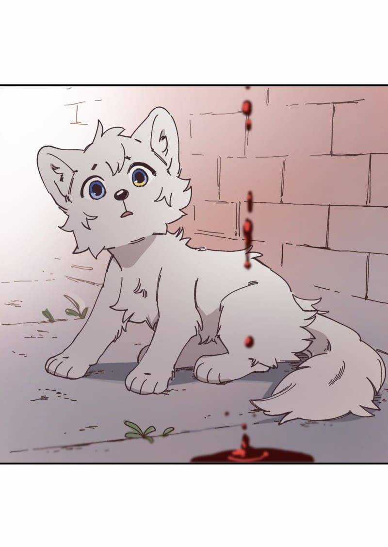 Lumine - Chapter 91 - Trang 20