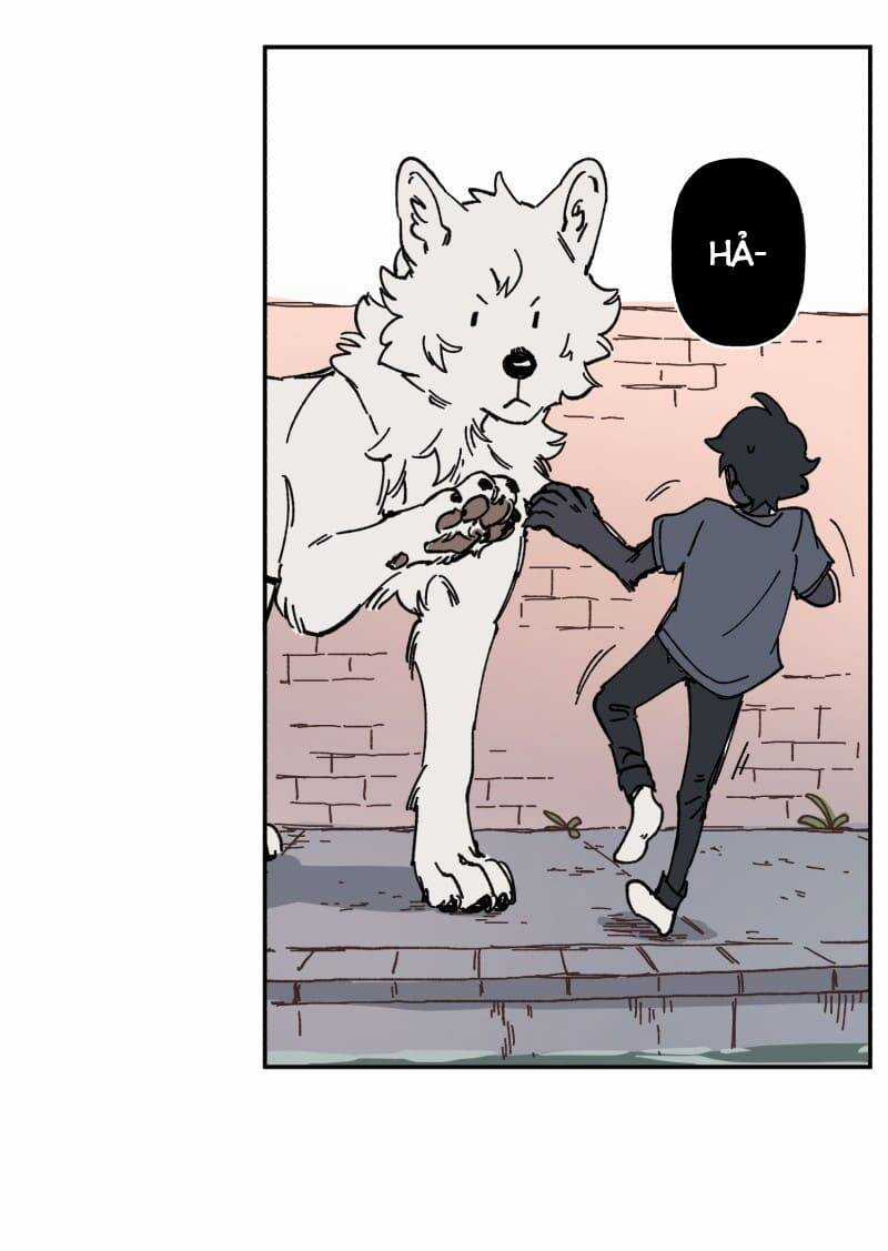 Lumine - Chapter 91 - Trang 33