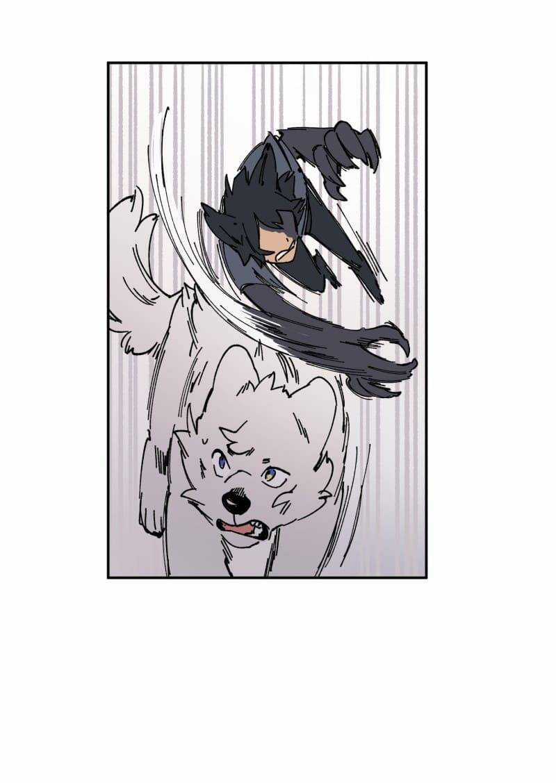 Lumine - Chapter 91 - Trang 40