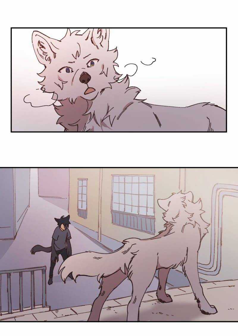 Lumine - Chapter 91 - Trang 42