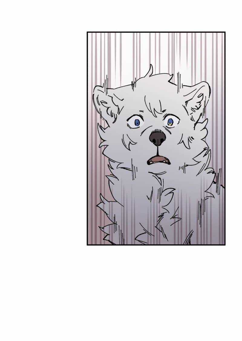 Lumine - Chapter 91 - Trang 46