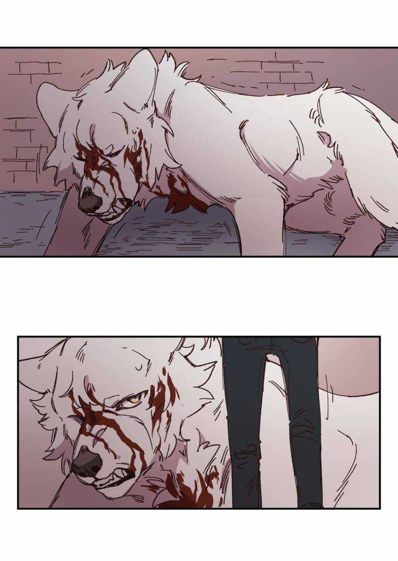 Lumine - Chapter 92 - Trang 23