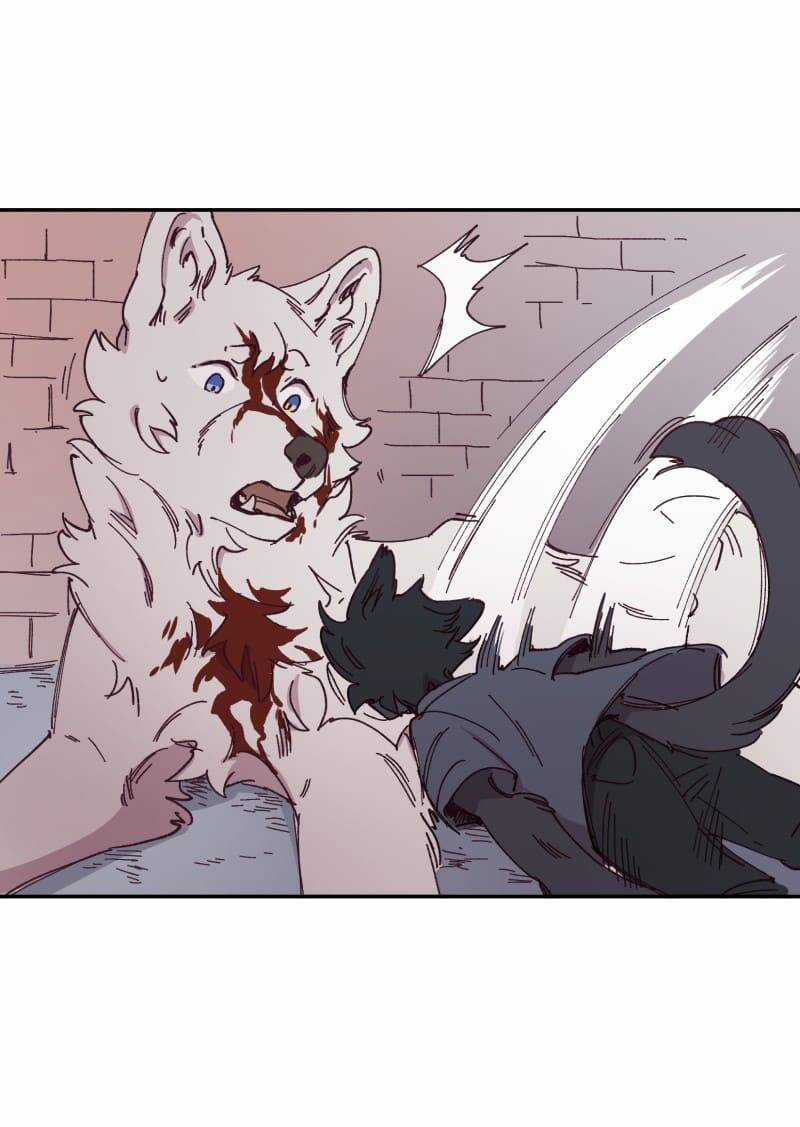 Lumine - Chapter 92 - Trang 29