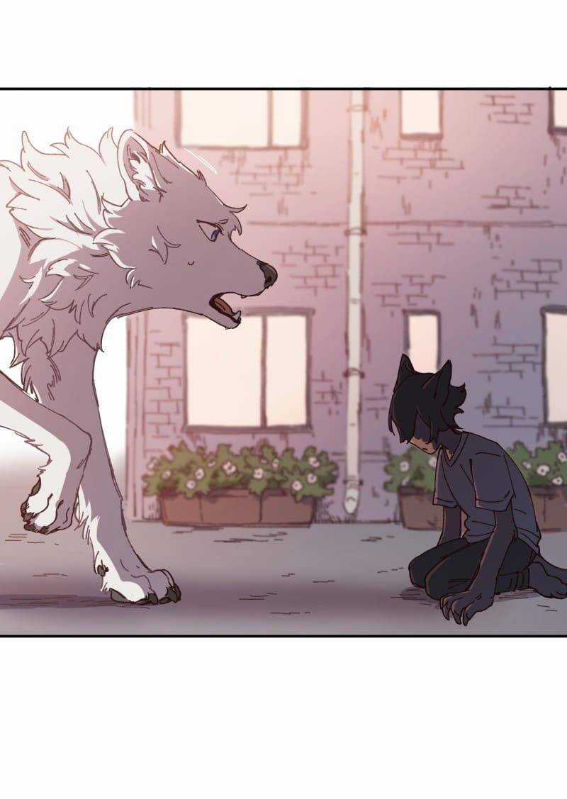 Lumine - Chapter 92 - Trang 6