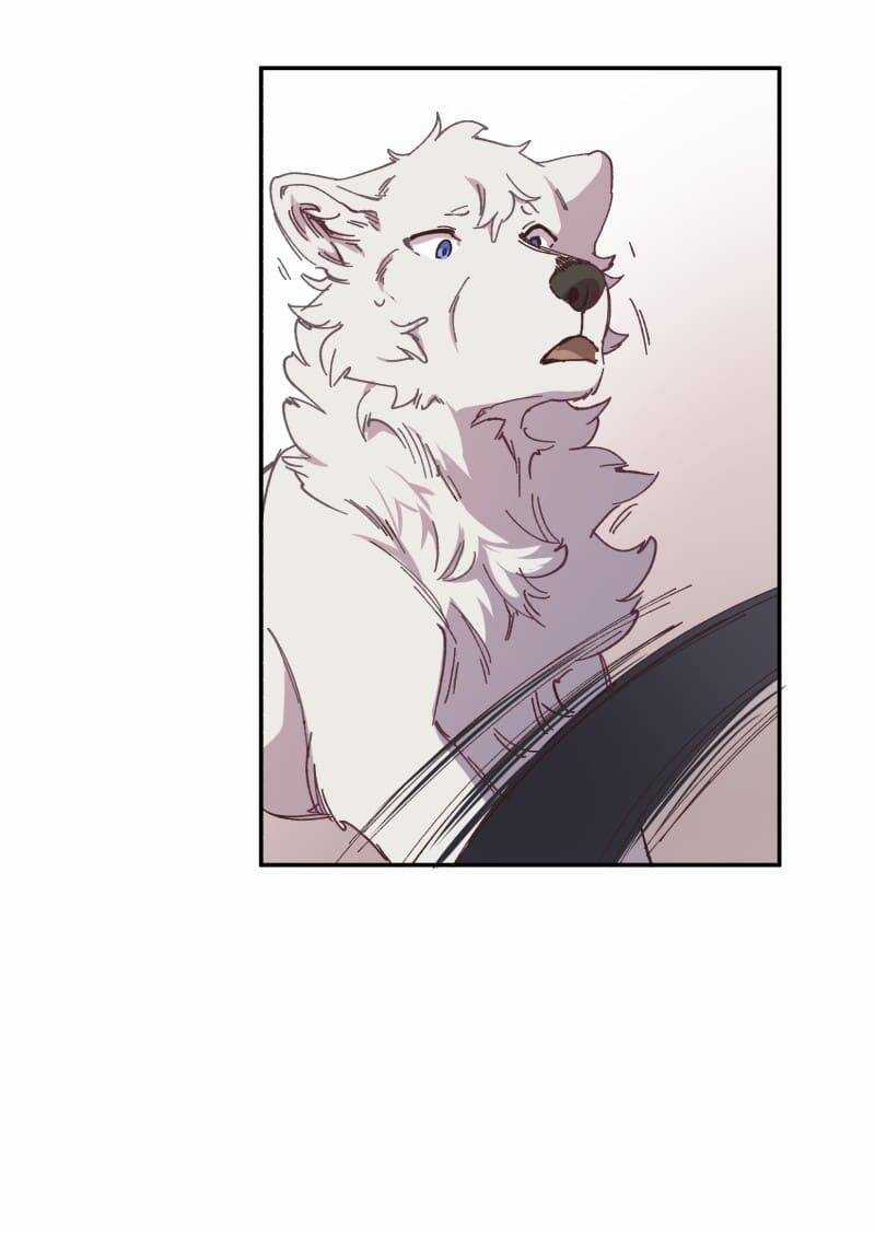 Lumine - Chapter 92 - Trang 7