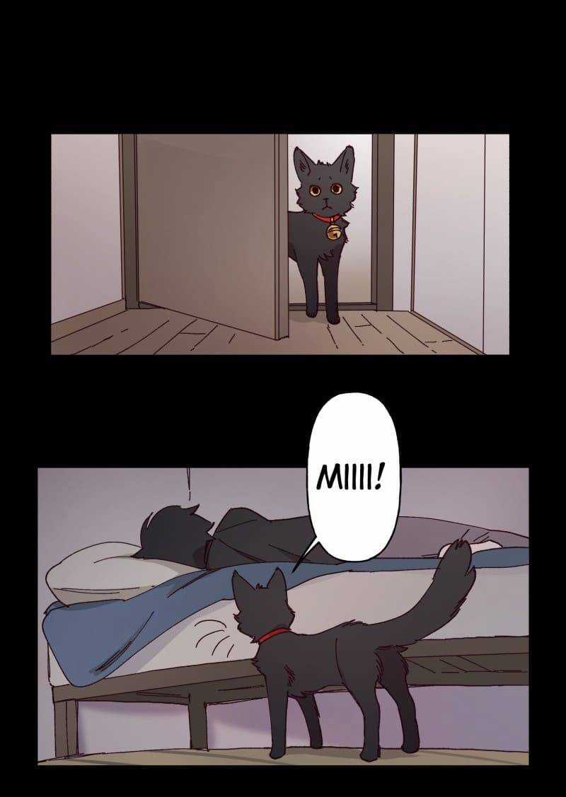 Lumine - Chapter 95 - Trang 12