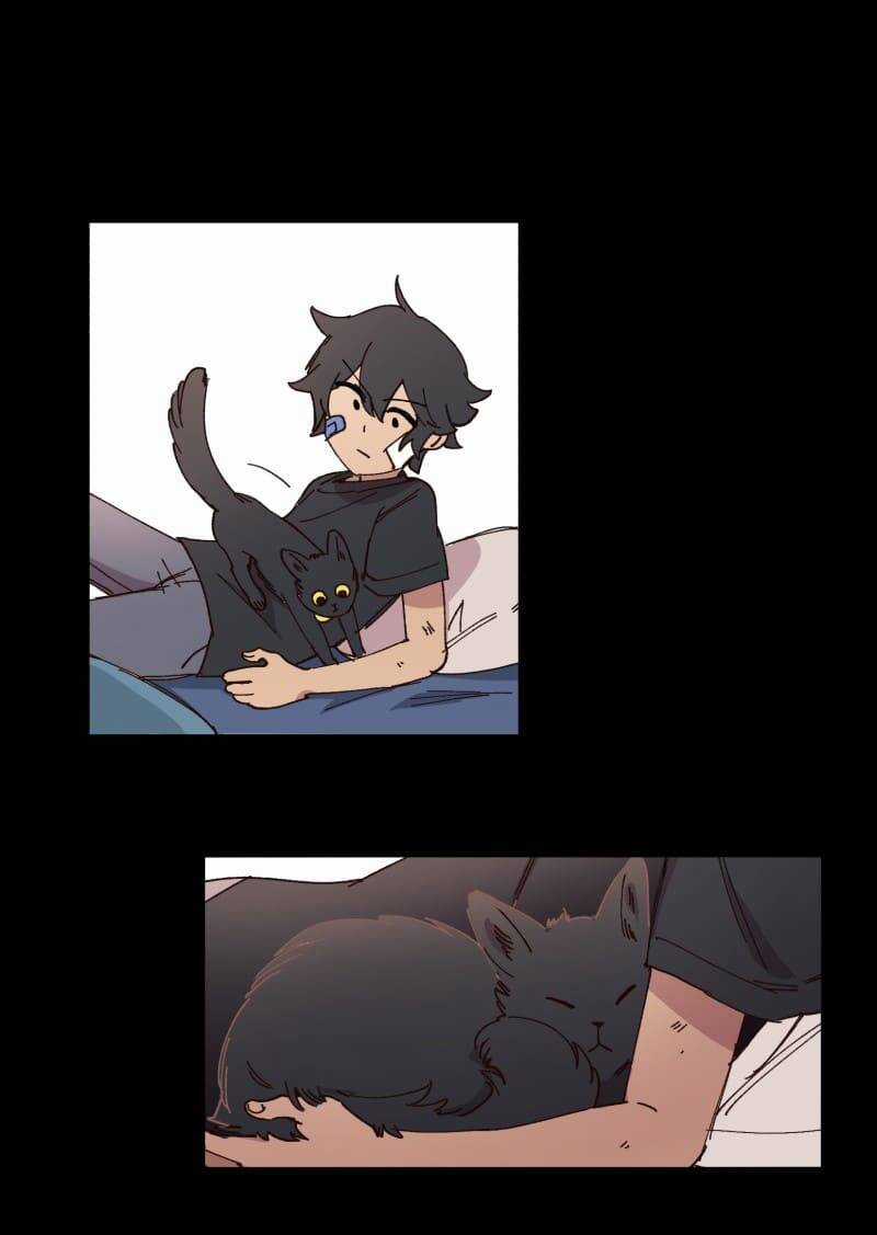 Lumine - Chapter 95 - Trang 17