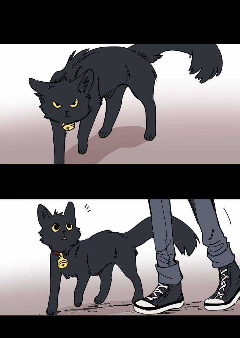 Lumine - Chapter 97 - Trang 5