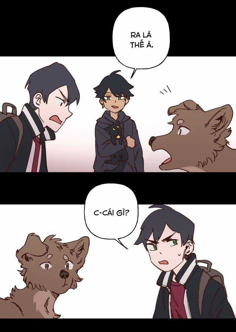 Lumine - Chapter 98 - Trang 17