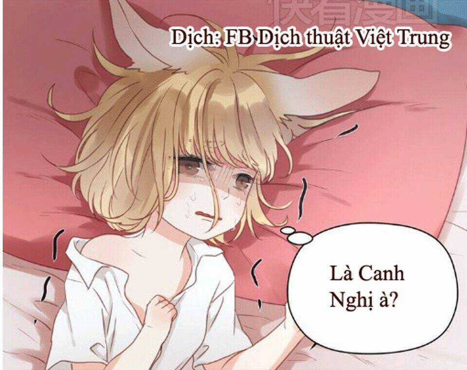 Lượm Được 1 Tiểu Hồ Ly - Chapter 16 - Trang 13