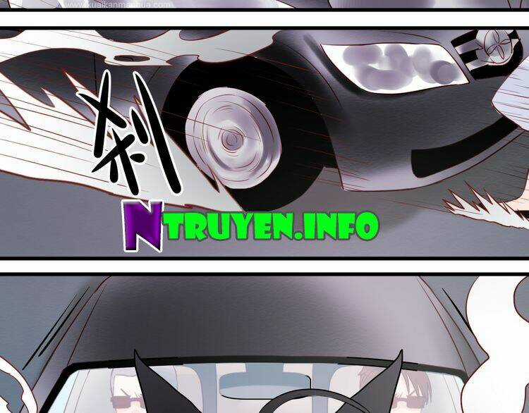 Lượm Được 1 Tiểu Hồ Ly - Chapter 39 - Trang 8