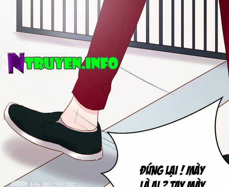 Lượm Được 1 Tiểu Hồ Ly - Chapter 40 - Trang 24