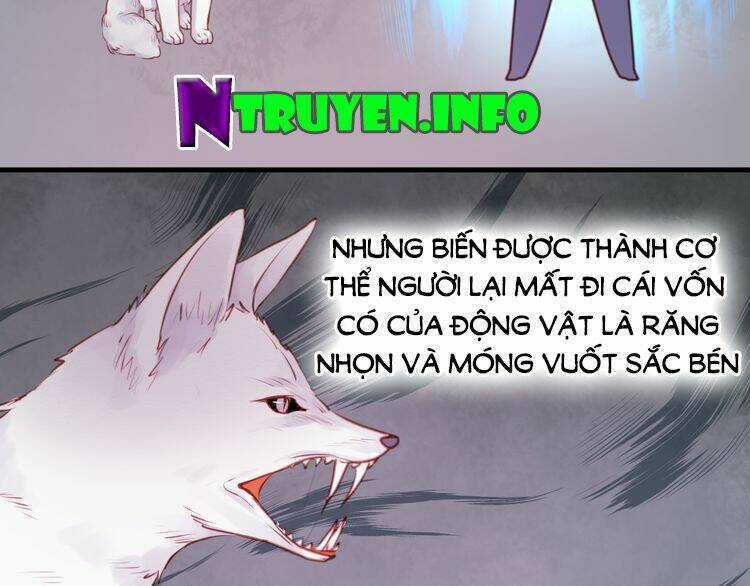 Lượm Được 1 Tiểu Hồ Ly - Chapter 48 - Trang 8