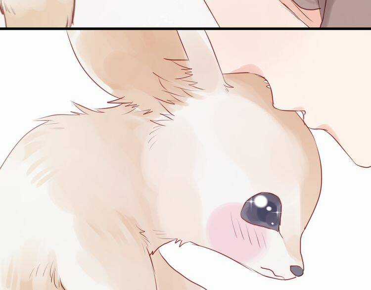 Lượm Được 1 Tiểu Hồ Ly - Chapter 49 - Trang 4