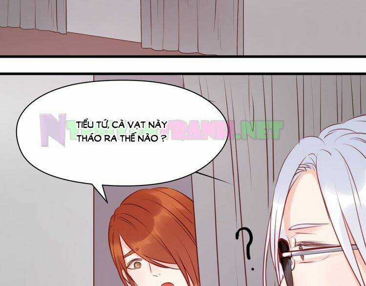 Lượm Được 1 Tiểu Hồ Ly - Chapter 50 - Trang 33