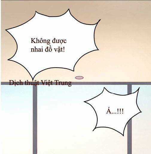 Lượm Được 1 Tiểu Hồ Ly - Chapter 6 - Trang 5