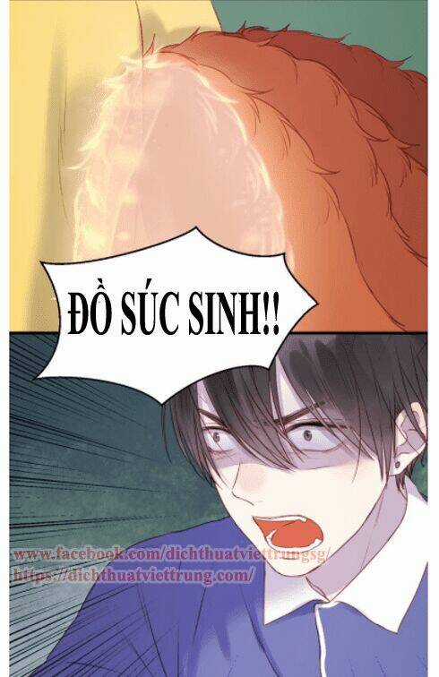 Lượm Được 1 Tiểu Hồ Ly - Chapter 66 - Trang 4