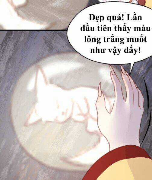Lượm Được 1 Tiểu Hồ Ly - Chapter 70 - Trang 17
