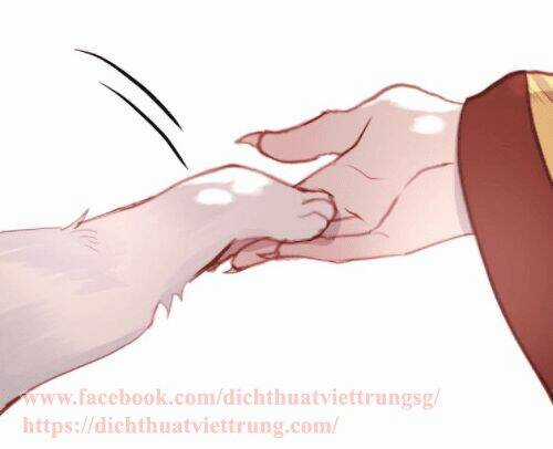 Lượm Được 1 Tiểu Hồ Ly - Chapter 71 - Trang 4