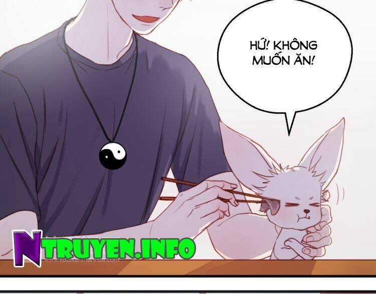 Lượm Được 1 Tiểu Hồ Ly - Chapter 76 - Trang 4