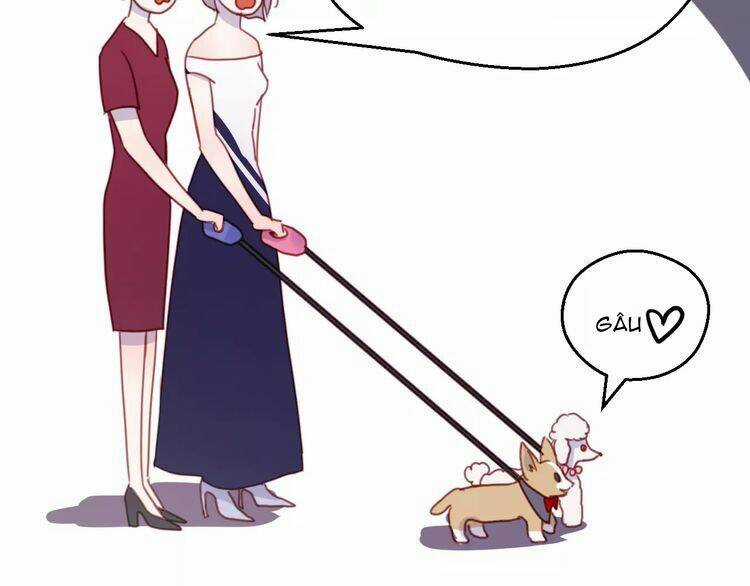 Lượm Được 1 Tiểu Hồ Ly - Chapter 78 - Trang 14