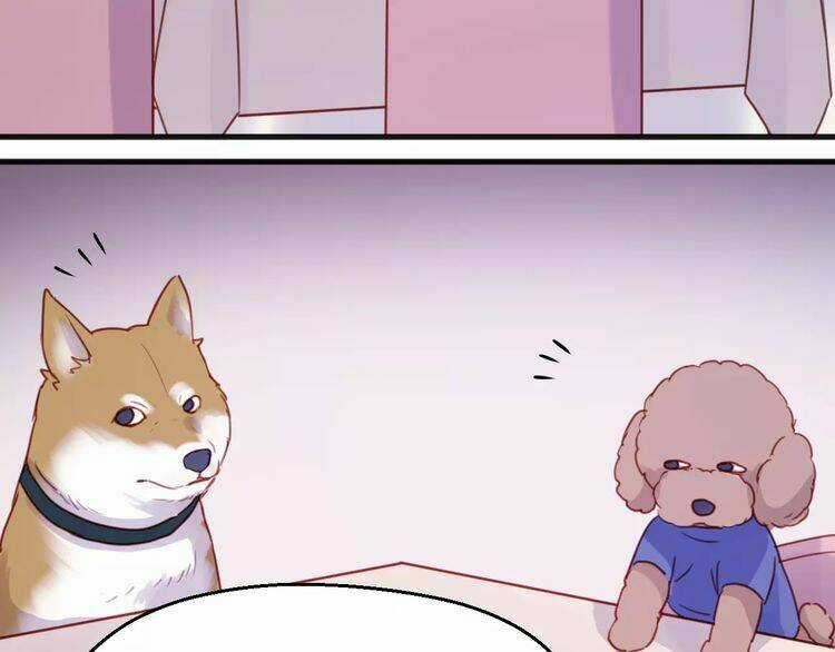 Lượm Được 1 Tiểu Hồ Ly - Chapter 78 - Trang 19