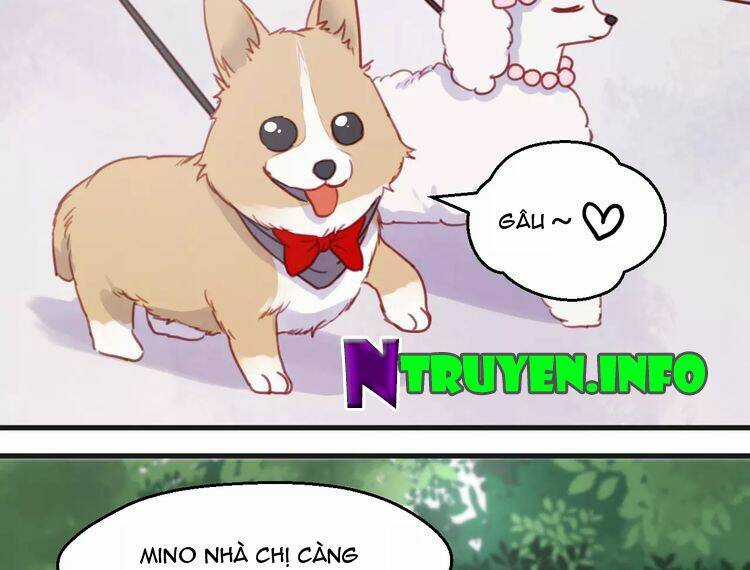 Lượm Được 1 Tiểu Hồ Ly - Chapter 78 - Trang 4