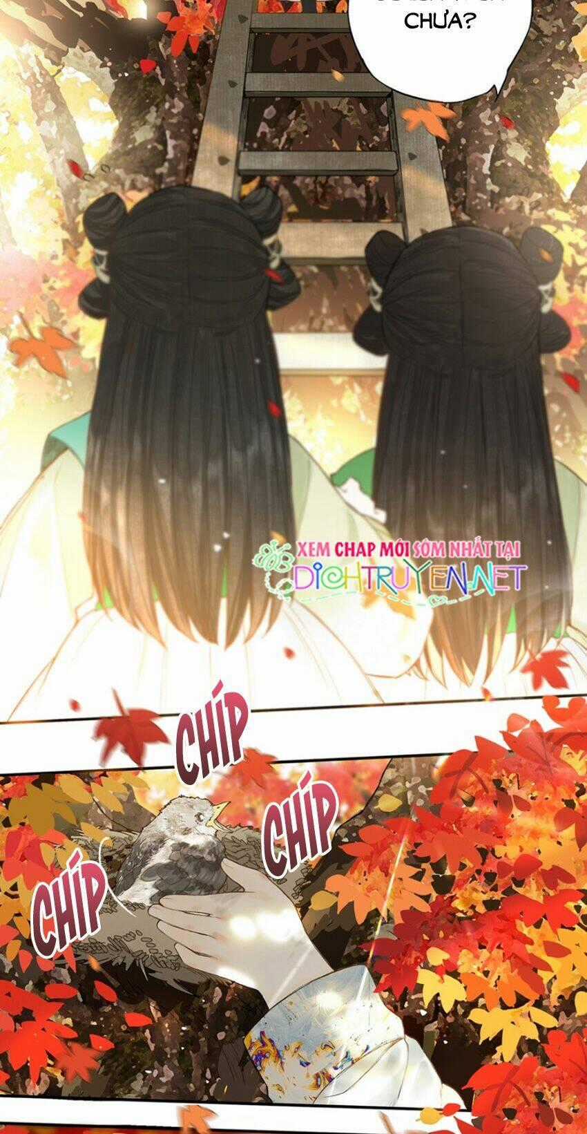 Lưu Hoa Bất Cập Xuân - Chapter 22 - Trang 2