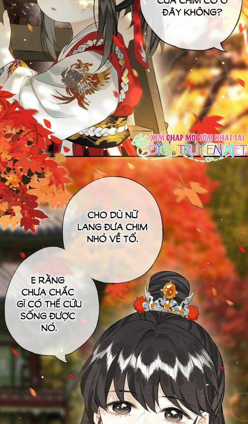 Lưu Hoa Bất Cập Xuân - Chapter 22 - Trang 4