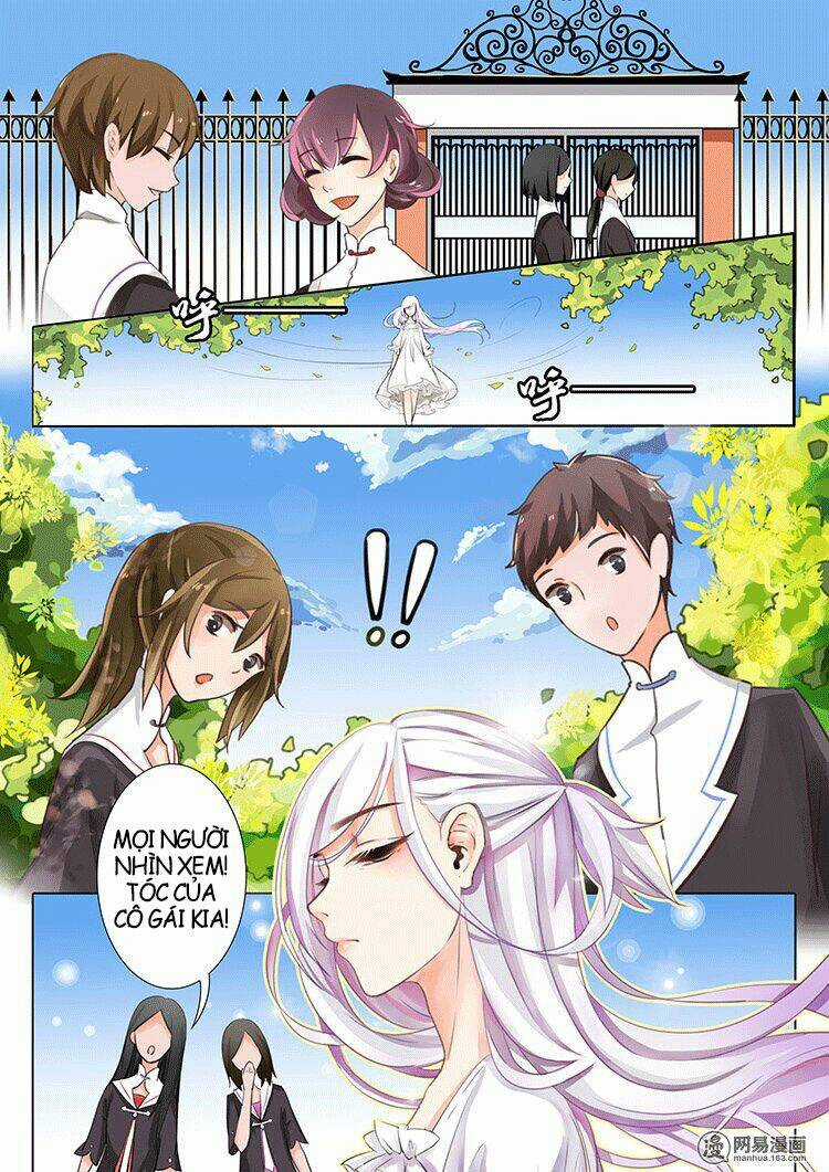 Lưu Ly Hạ Rực Rỡ - Chapter 1 - Trang 3