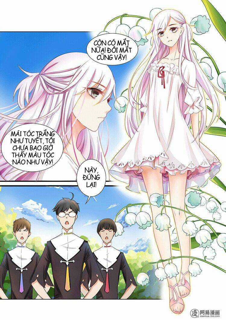 Lưu Ly Hạ Rực Rỡ - Chapter 1 - Trang 4