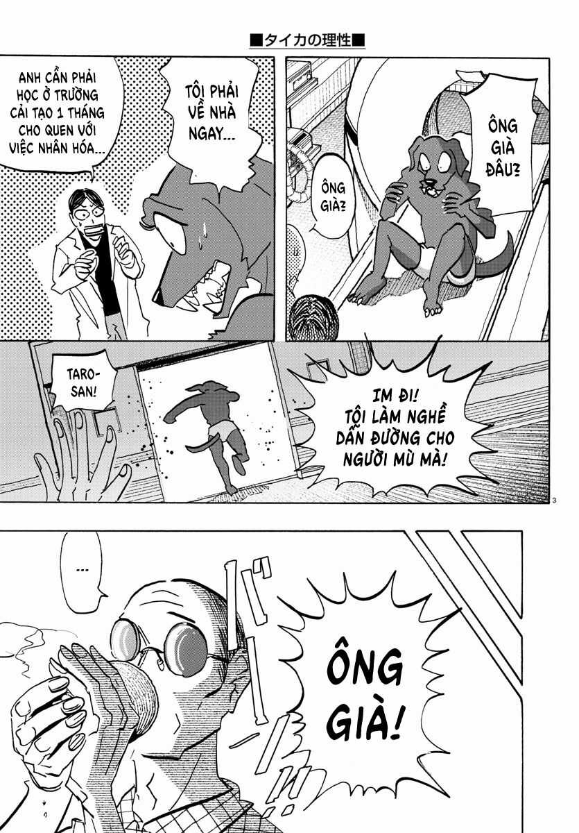 Lý Trí Của Taika - Chương 21 - Trang 3