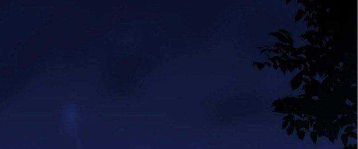 Ma Lâm Thiên Hạ - Chapter 20 - Trang 178