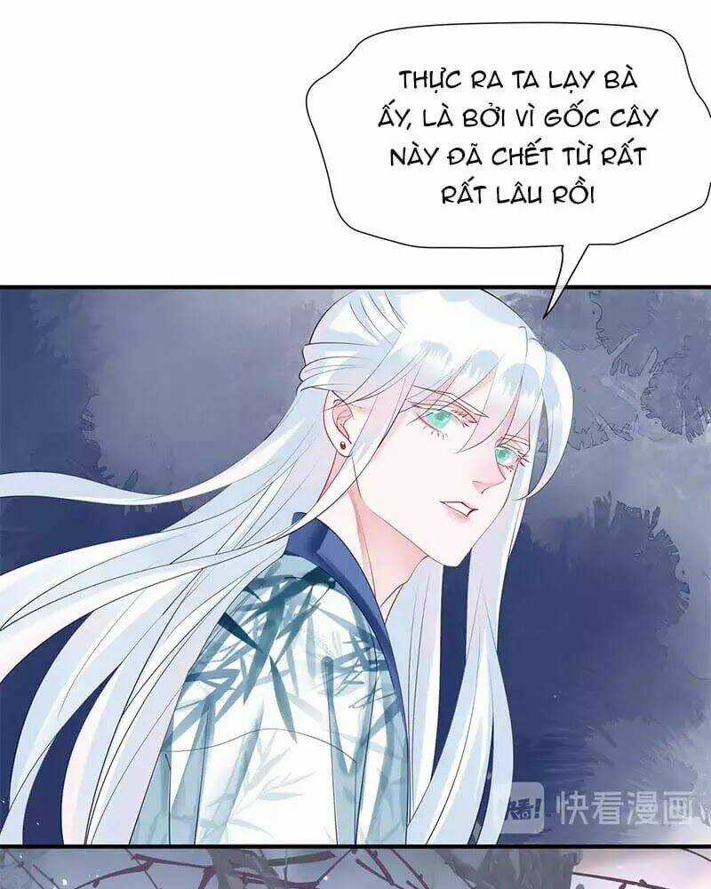 Ma Tôn Muốn Ôm Ôm - Chapter 49 - Trang 33