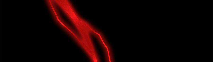 Ma Vương Gian Lận Hệ Thống - Chapter 4 - Trang 77