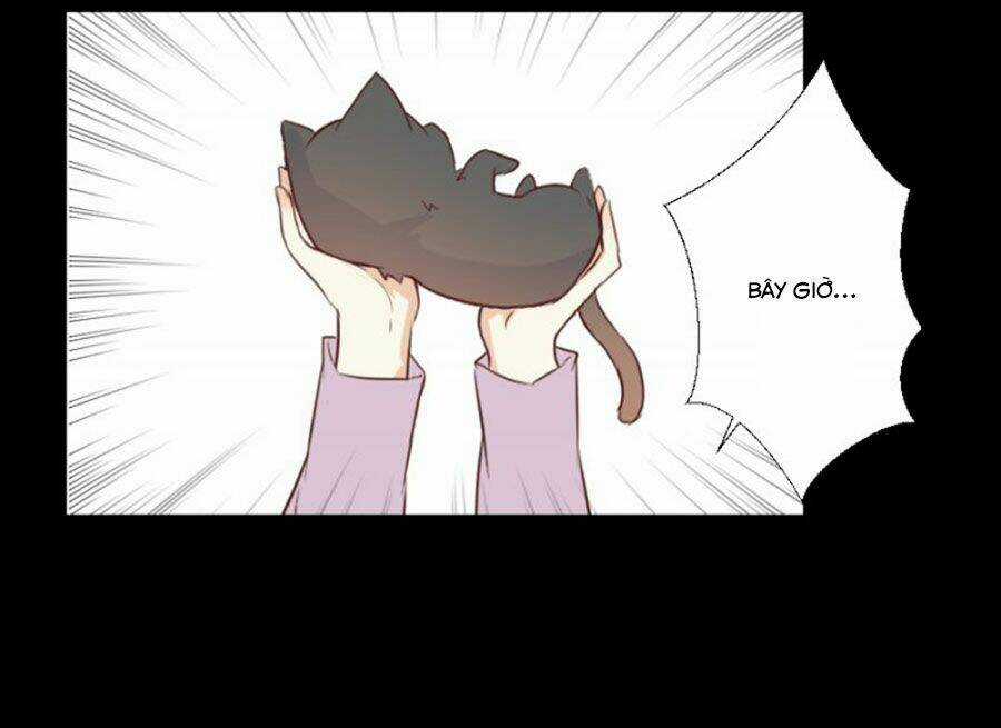 Mạc Duyên Thư Văn - Chapter 58 - Trang 17