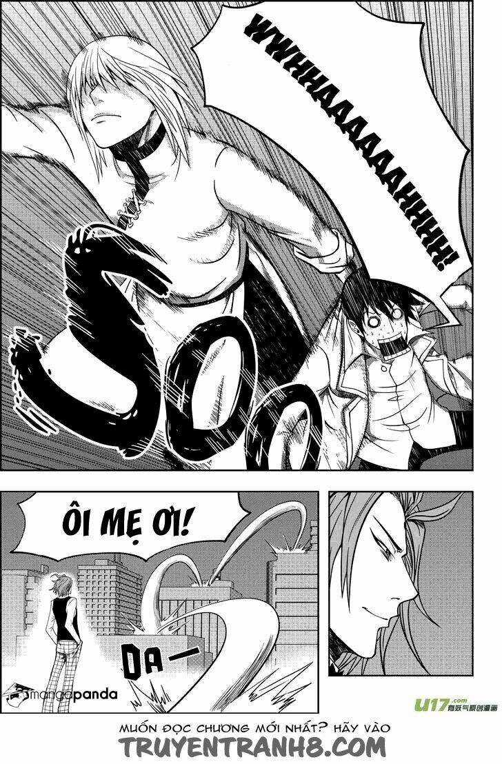 Macrophage Regulation - Chapter 6 - Trang 10