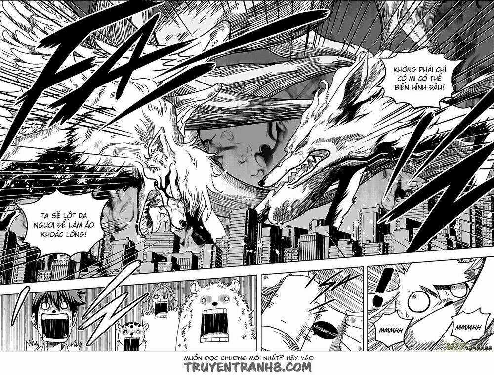 Macrophage Regulation - Chapter 7 - Trang 17