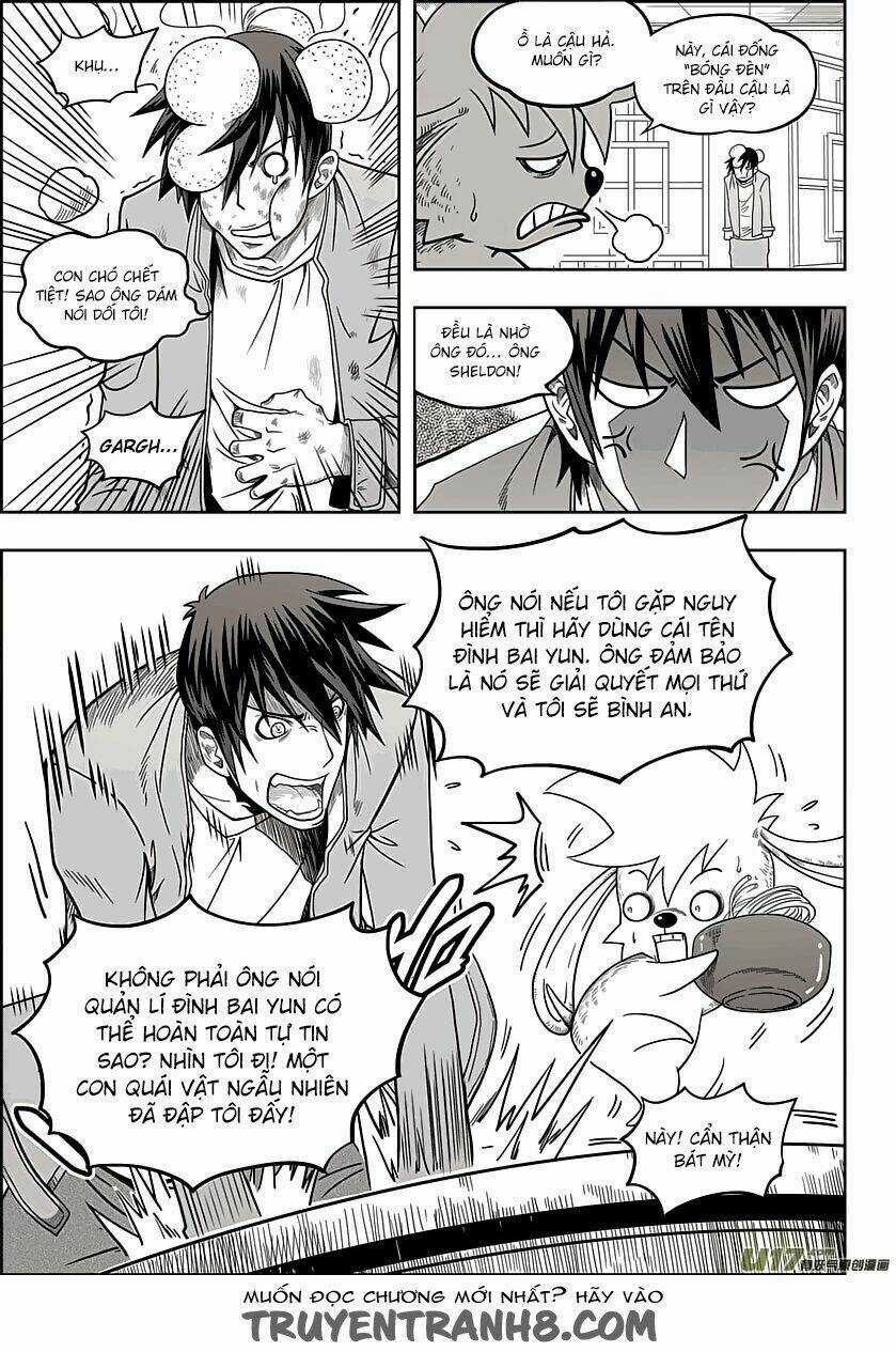 Macrophage Regulation - Chapter 8 - Trang 8