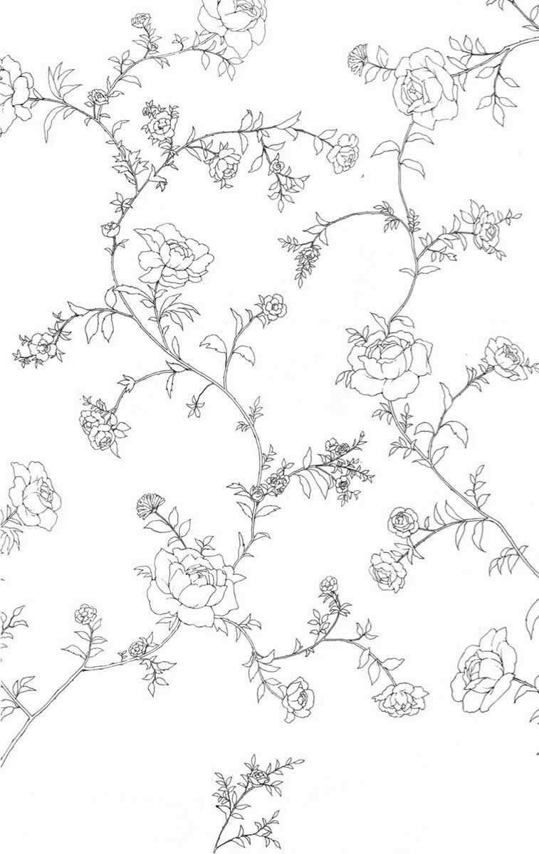 Madame Petit - Chapter 13 - Trang 3