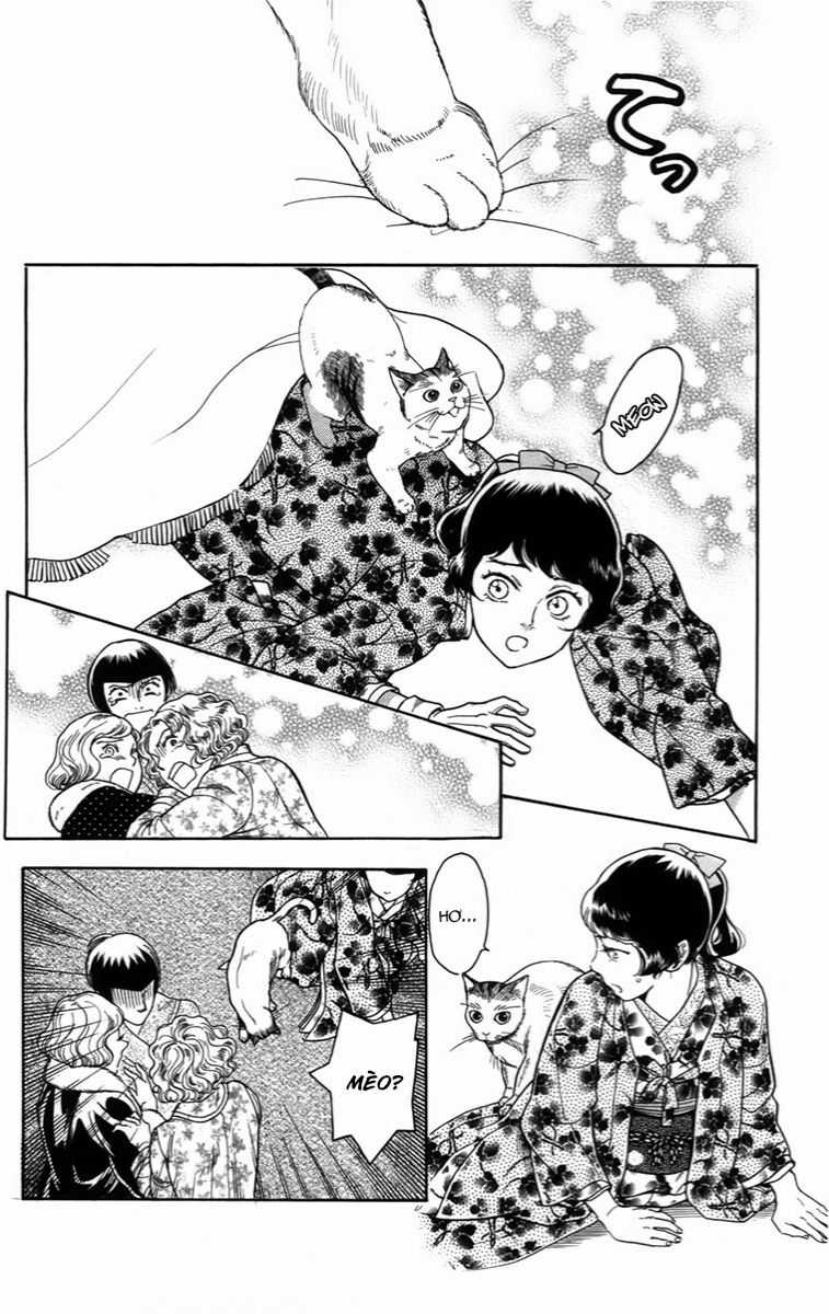 Madame Petit - Chapter 18 - Trang 28